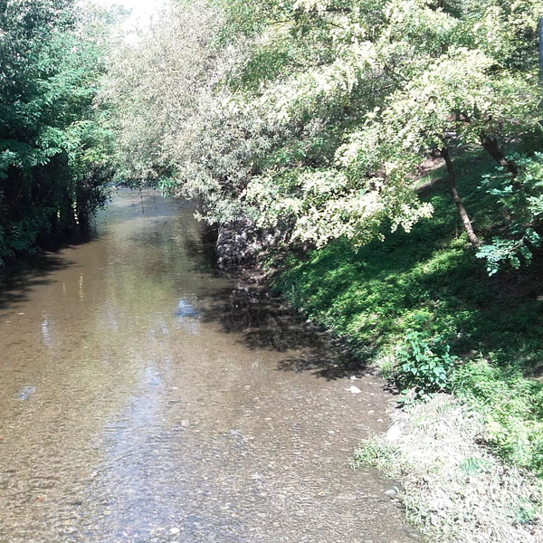 Verso il parco fluviale del Seveso. Enti e imprese del territorio insieme per esplorare nuove soluzioni di tutela ambientale.